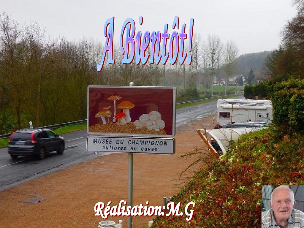 149 MUSEE DU CHAMPIGNON A  SAUMUR 2016 2_000047.jpg